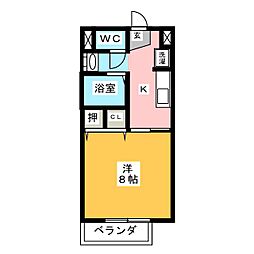 Surplus カメヤマ B