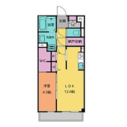 ＲＡＰＰＯＲＴ