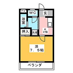 パルミラ　β