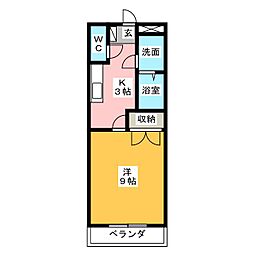アプリコット