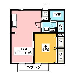 セレブリティー　F