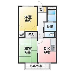 花水木