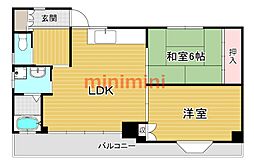 メゾンあいらんど 101