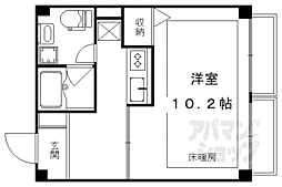 シチクハイネス 306