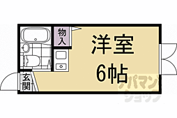 フレッシュ・フィールド 503