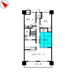 ラウムズ白子