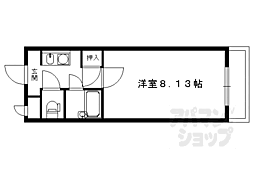 カントリーベア 305