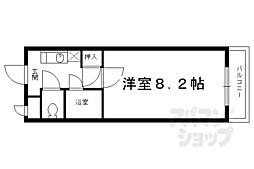 カントリーベア 210