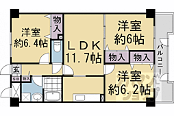 京都市右京区嵯峨中通町