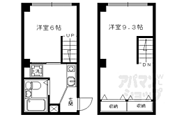 バインオーク・クリサンセマム 501