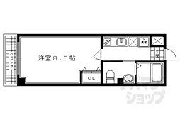 フラッティＫ＆Ｓ 502