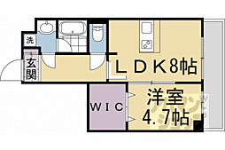 Ｐｏｕｒ　Ｔｏｕｊｏｕｒｓ大将軍 210