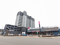 ダイアパレス白山（203） 203