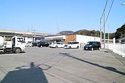 小月杉迫