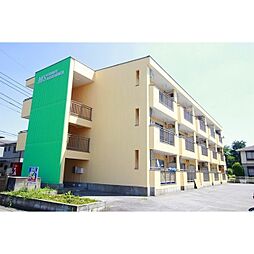 MSサニーレジデンス 203