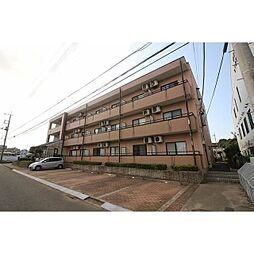 ラッフルポート 303