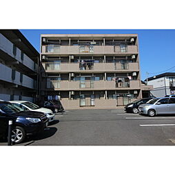 クパティーノ 201