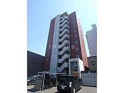 ＳＴＥＬＬＡ　ＬＵＣＥ 202