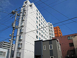 コスモス菊水 1003