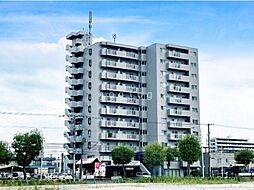 シャンブルドロア菊水 506
