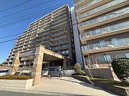 エクセレントプレイスドリームマークス 102