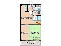 京都市伏見区桃山町泰長老