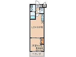 京都市伏見区桃山水野左近東町