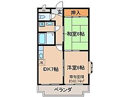 宇治市五ケ庄梅林