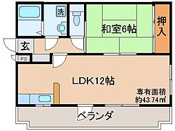 宇治市五ケ庄梅林