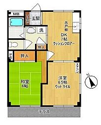 川崎市多摩区菅３丁目