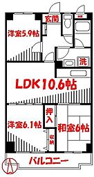 小金井市緑町２丁目