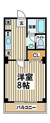 ドルチェヴィータ 301
