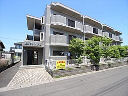 ヴェルジェ・ボヌール 202