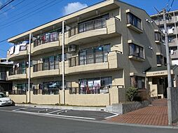シャルマン・島村 302