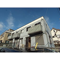 ｃａｔ　ｗａｌｋ 101