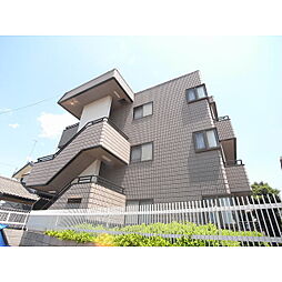 アメニックス 202