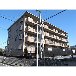 パームハイツIII 302