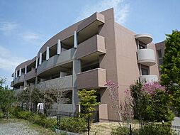 サンシャイン5 207