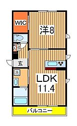 アルファコート