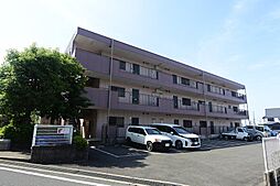 バンブーパレス