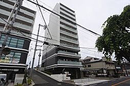 ブランシュミハマ