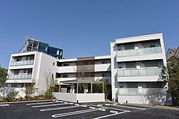 Shamaison Stella Risaia