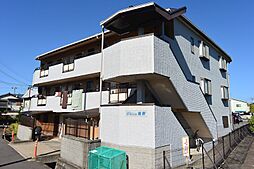 ステラ幾野