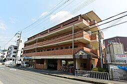 エバーグリーン
