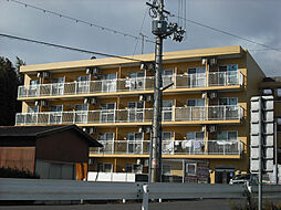 オリオンコート