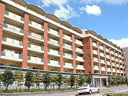 リサービア大津