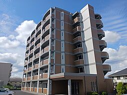 プリムロ−ズ・J