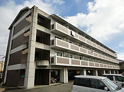 マンションきのこの森