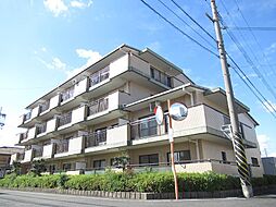 シャトルハルタ