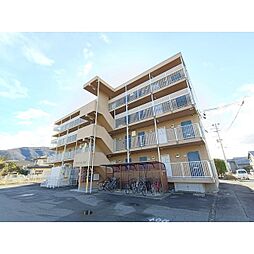 クオリティー白眉 208